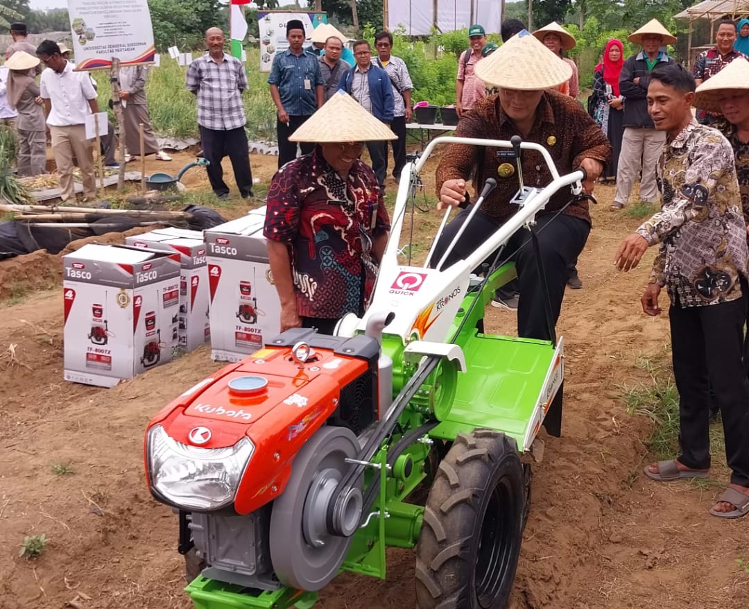 Petani Bawang Merah Cilacap Bergairah, Produksi Terus Meningkat