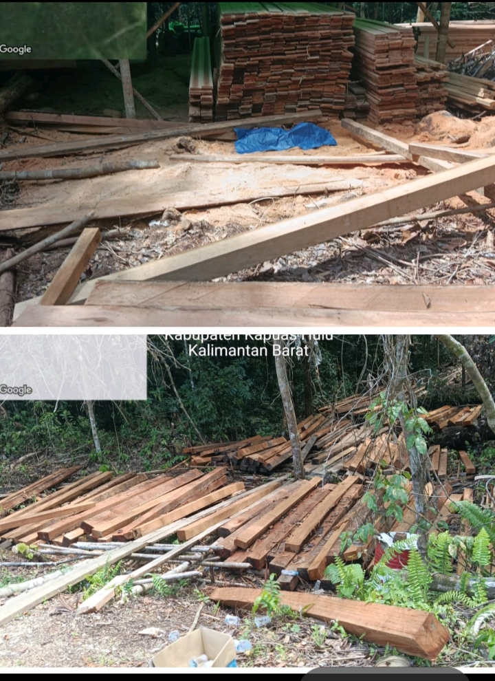 Kayu Ilegal Dari Desa Mungguk Kabupaten Kapuas Hulu Dibawa ke Pontianak, Aparat Diduga Terlibat Kayu Ilegal Dari Desa Mungguk Kabupaten Kapuas Hulu Dibawa ke Pontianak, Aparat Diduga Terlibat